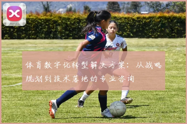 体育数字化转型解决方案：从战略规划到技术落地的专业咨询